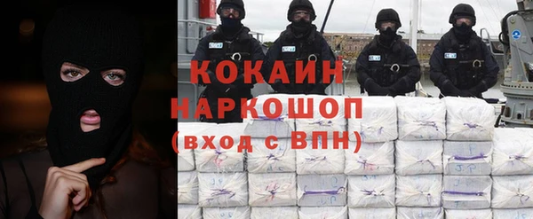 твердый Горняк
