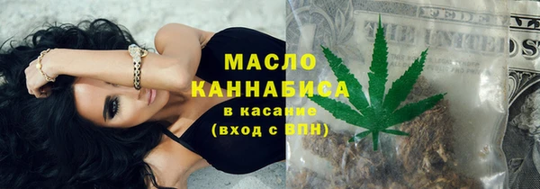 твердый Горняк