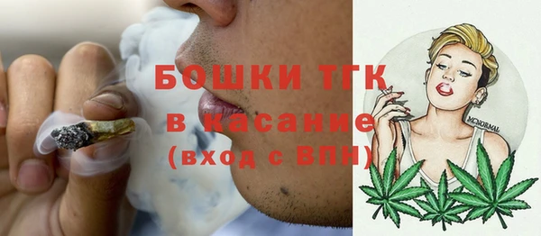 твердый Горняк