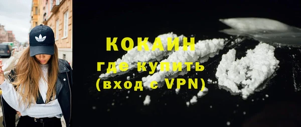 твердый Горняк