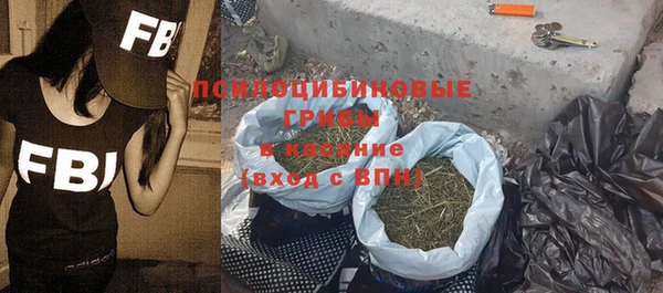 Альфа ПВП Горно-Алтайск