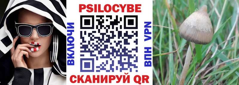 где купить наркоту Реж Псилоцибиновые грибы прущие грибы