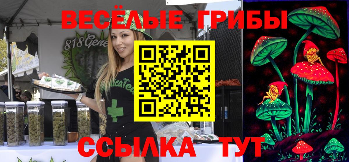 Реж  Псилоцибиновые грибы Cubensis  Вход с VPN  Галлюциногенные грибы Cubensis 