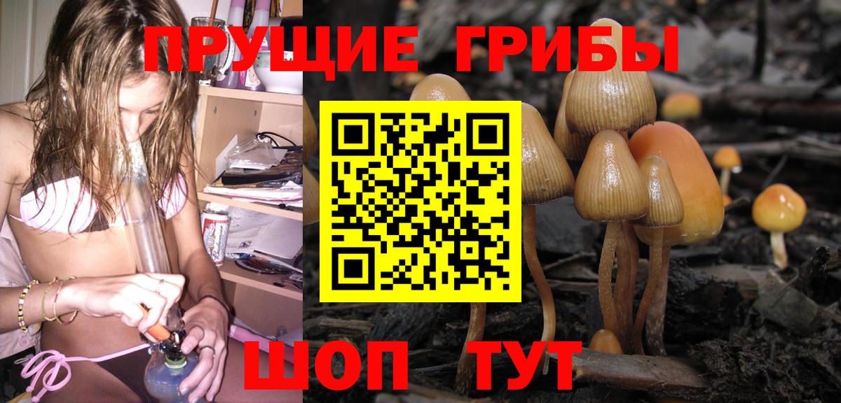 Реж  хочу наркоту  Вход с VPN  Псилоцибиновые грибы ЛСД 