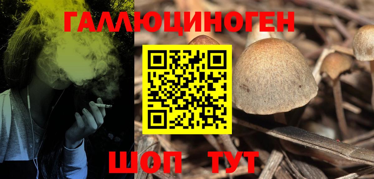 Галлюциногенные грибы GOLDEN TEACHER Реж